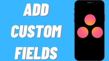 How To Add Custom Fields On Asana
