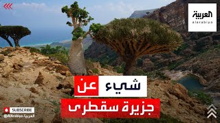 معلومات عن جزيرة سقطرى اليمنية