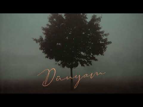 487APHE Baro Dünyam Official Audio 