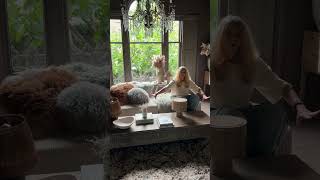 My Mini Masterclass in Stylish Spaces That Emanate Sophistication | Abigail Ahern