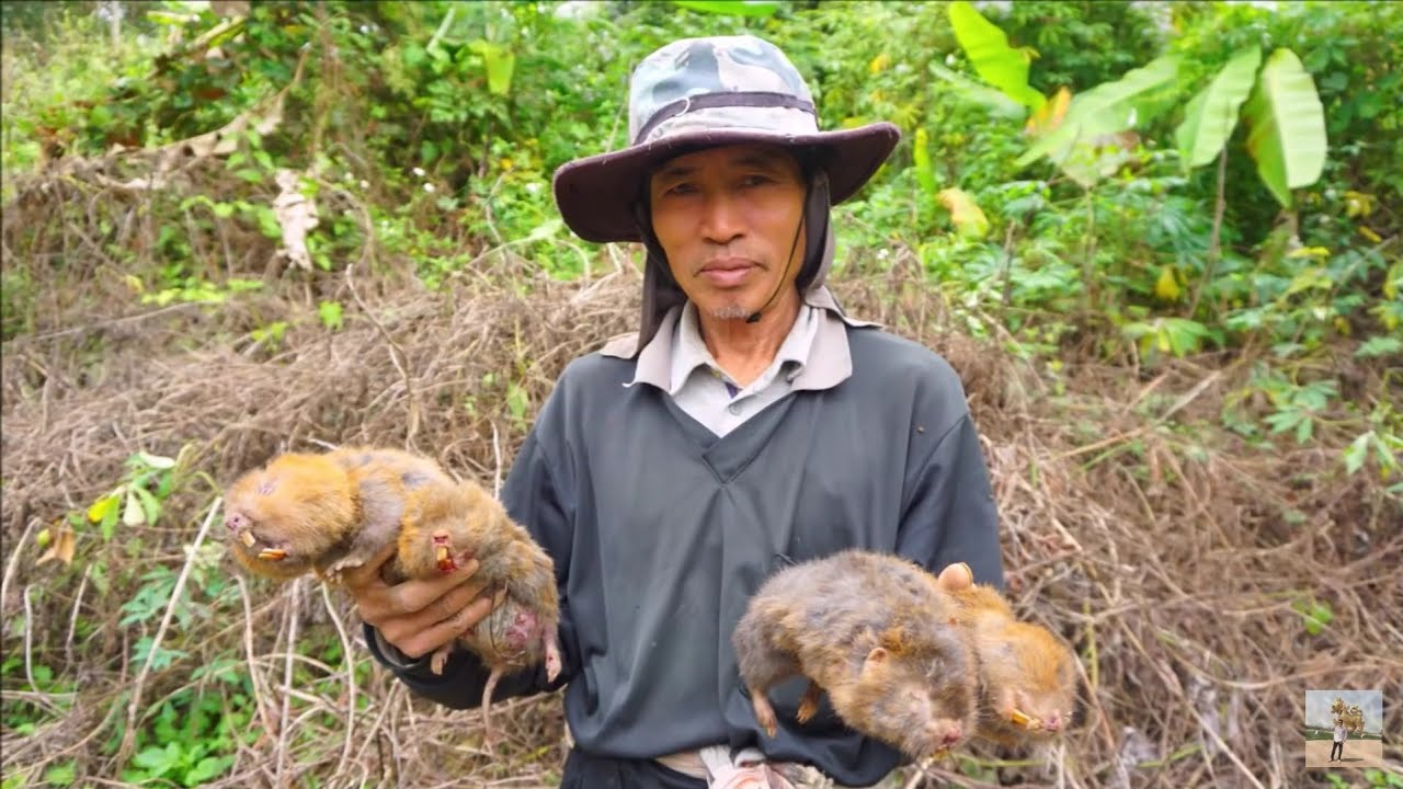 ล้วงตุ่น หาตุ่นจากกระบอกไม้ไผ่ สูตรตาเสริฐ EP#3