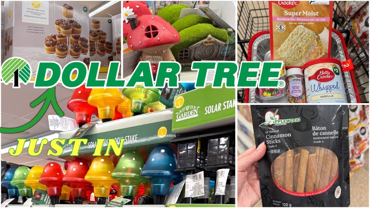 SHOP NEW Dollar Tree FINDS 