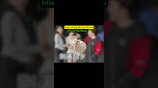 #funny #memes #haihuoc #catmeme #cat
