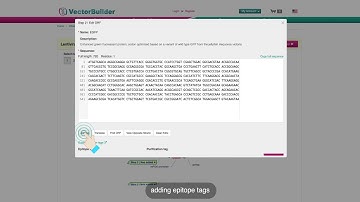 VectorBuilder Introduction