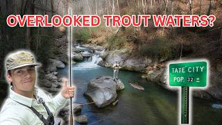 This Might Be Georgia's Most Overlooked Trout Stream (Tallulah River)