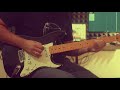 Fender Stratocaster Standard Mexico 1998 Test