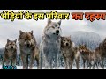         kingdom of white wolves documentary in hindi facts phylum