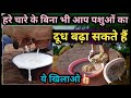 हरे चारे के बिना भी आप पशुओं का दूध बढ़ा सकते हैं👉 ये खिलाओ ये Khilao Dudh Bada lo Cow Buffalo ka