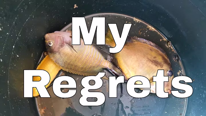5 Saltwater Tank Regrets...and How To Avoid Them...