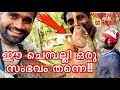 മിസ്സായ ചെമ്പല്ലി വീണ്ടും അടിച്ചപ്പോൾ |MANGROVE JACK & SNAKEHEAD|