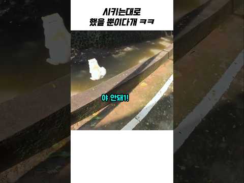 시키는대로 했다개!! ㅋㅋ thumbnail