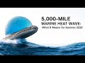 5,000-Mile Marine Heat Wave: What It Means for Summer 2026