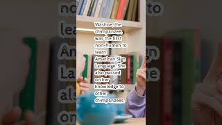 Fun Fact #270