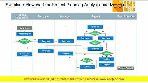 Swimlane Flowchart For Project Planning Analysis And Management Ppt Powerpoint Presentation Portfoli