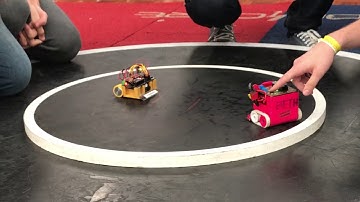 Robô Mini Sumo