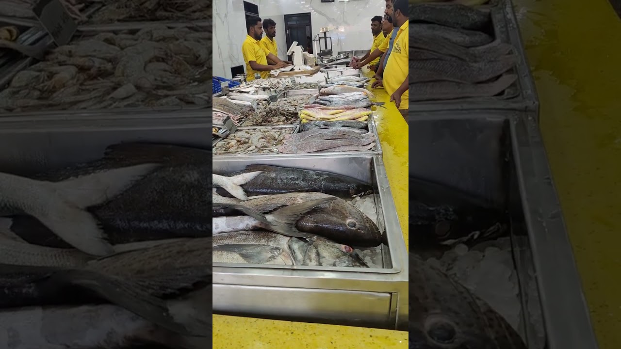 Fish Market in Hubli Karnataka.Fish का खजाना। Many types of fishes