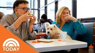 New York's First DogFriendly Cafe Is Finally Here! | TODAY