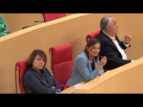 ლელა ქებურიამ მმართველ გუნს ფაროსანასთან ბრძოლის მეთოდები დაუწუნა