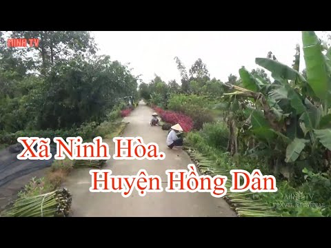 Video Khám Phá Xã Ninh Hòa. Huyện Hồng Dân .Tỉnh Bạc Liêu. - youtube