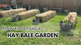 How to set up a Hay Bale Vegetable Garden || Vegetable Garden