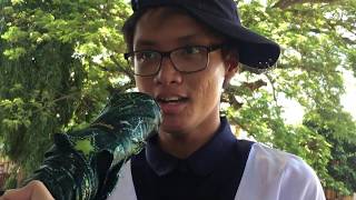Endogenic Process || Alvurt Dioquino