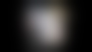 Dinamo – All Fonts Are Bastards