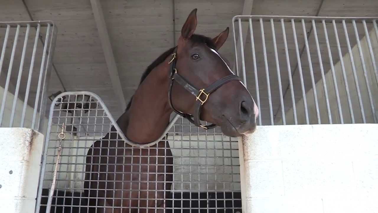 downs sims John Asher and Jill Byrne discuss KDFW Pool 3