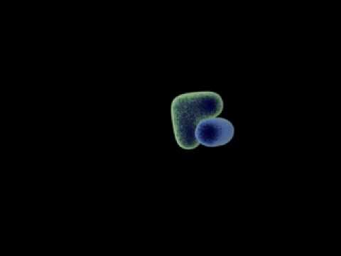 Dissociation and Competition for the same binding site