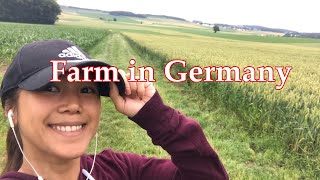 FARM IN GERMANY