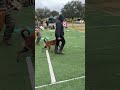 What good is your dog training if you can’t do it with distraction?? #amazingdog #dog