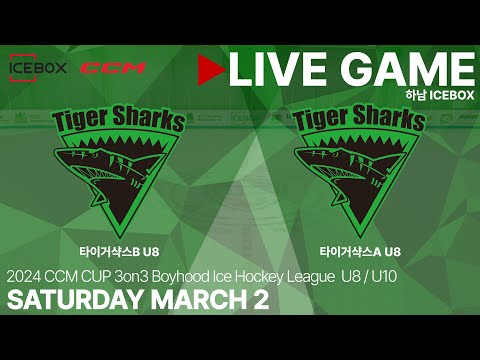 LIVE • 타이거샥스B U8 vs 타이거샥스A U8 • 2024 CCM CUP 3on3 유소년 아이스하키대회 (U8/U10) | U8 Div3 순위 결정전 • 2024. 3. 2