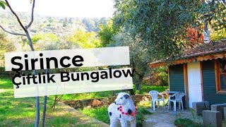 Şirince Küçük Çiftlik Bungalow İzmir Bungalow Oteller Geziyoo Co Açiklamaya Bak 