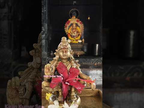 🙏 ఓం శ్రీ స్వామియే శరణం అయ్యప్ప 🙏#ayyappan #ayyappaswamy #ayyappaswamysongs #ayyappa #devotional