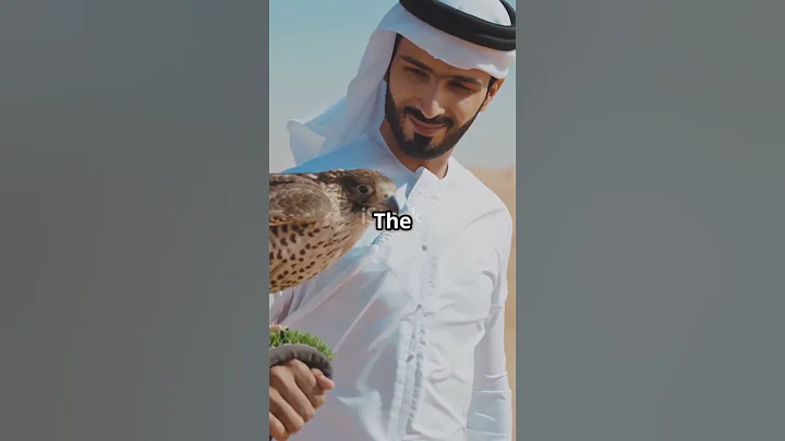 top 10 interesting facts about UAE