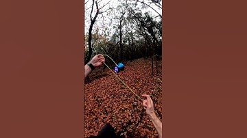A Very Leafy Yo-Yo Combo 🍂🪀 #yoyotricks #trickcircle #yoyo #yoyoing #yotricks