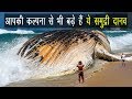 Biggest sea creature in the world in Hindi | Ocean Animals