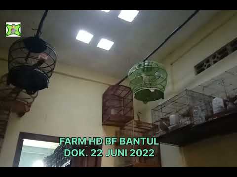 👶Baby Room Free🏠House Tour✨House Maker 💗 Pazu Avatar World #shorts #pazu #avatarworld