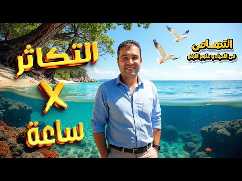 المراحعة النهائية في التكاثر شرح 