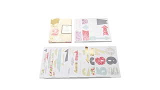Anna Griffin Perfectly Printed Vellum Stickers