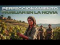 Perfeccionamiento Familiar en la Novia |Servicio Familiar | Viernes 13/02/2026
