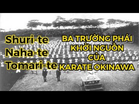 Video: Về Phong Cách Và Trường Phái Karate