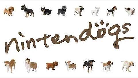 Beginner & Open Class  - Nintendogs