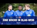 HAHOHE - Eine Woche in Blau-Weiß - 7. Spieltag - Hertha BSC