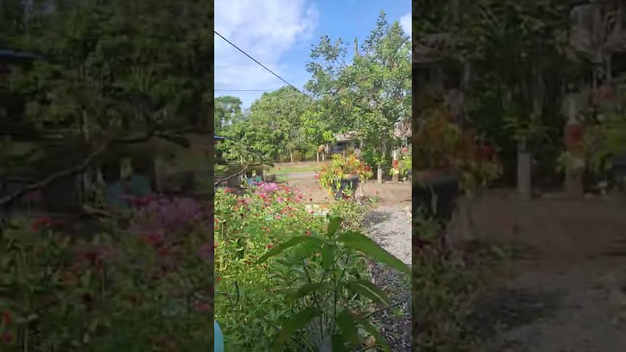 Richard Chang is live