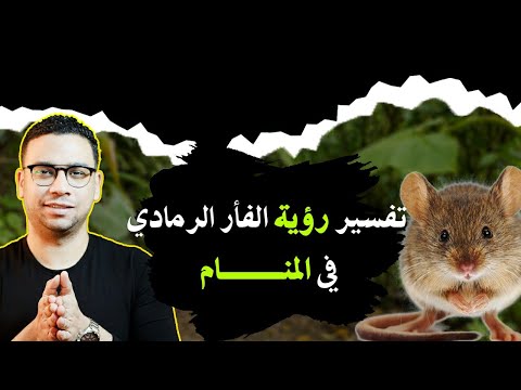 فيديو: من هو 