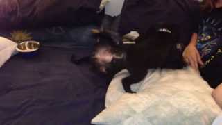 Kayla & Karena Playing