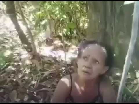 Idosa que estava desaparecida em região de mata fechada é encontrada após uma semana em Riachão