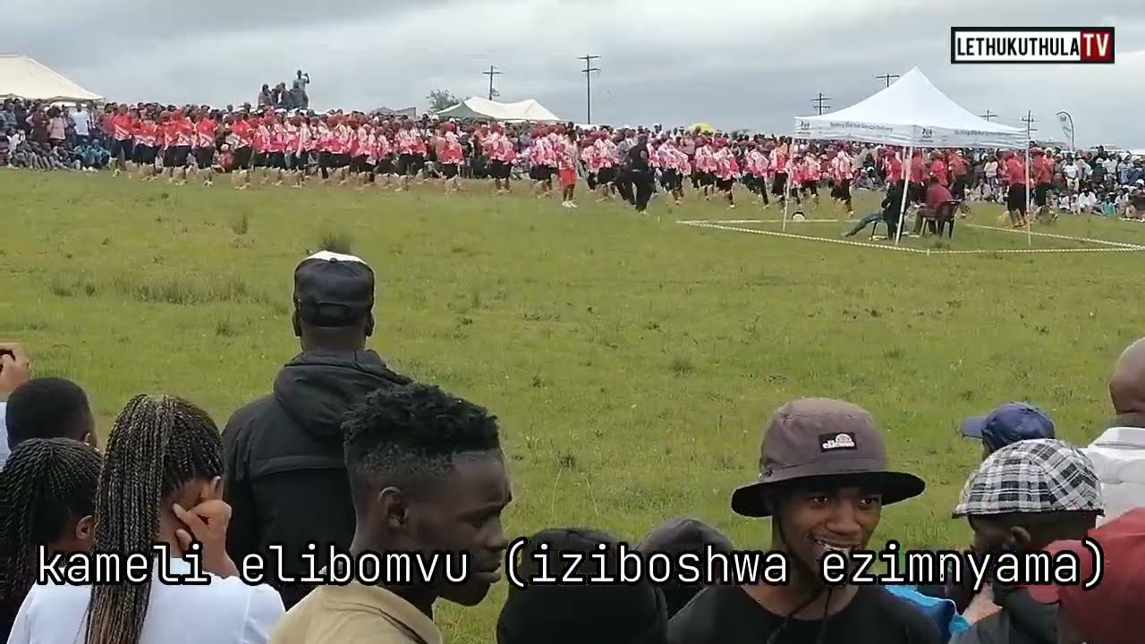 iNgoma yaseDumbe kaNgwanya kudlala iKameli elibomvu (iziboshwa ezimnyama) ...