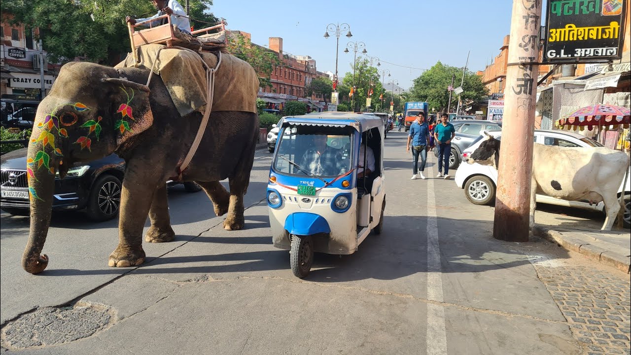 Дели - первый день в Индии![s5:1]