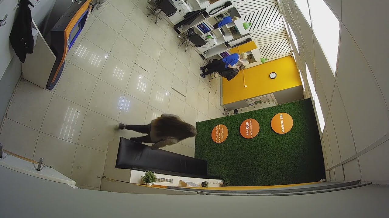 Tailbone length to bob